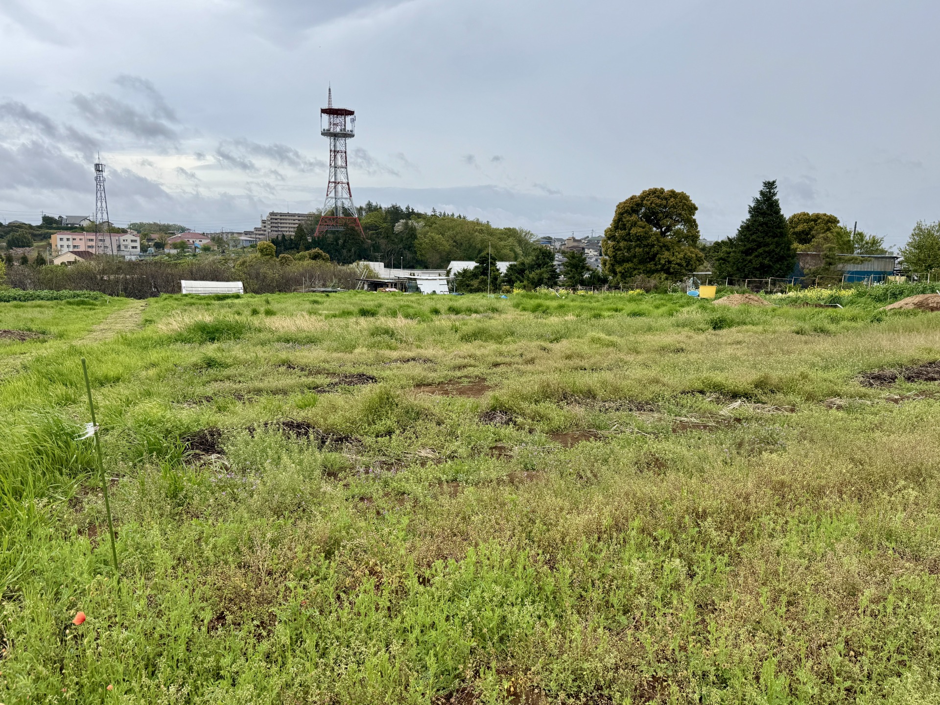 300坪の農地転用
