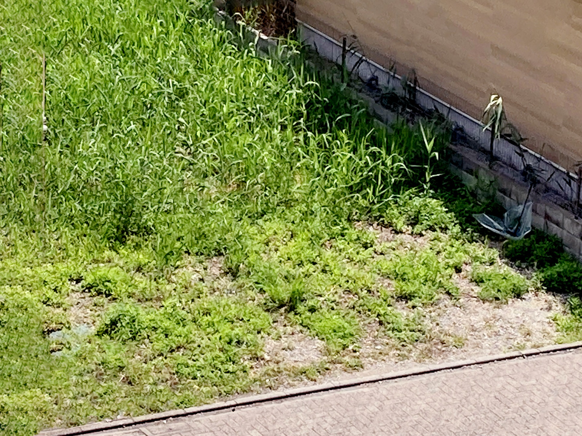 更地